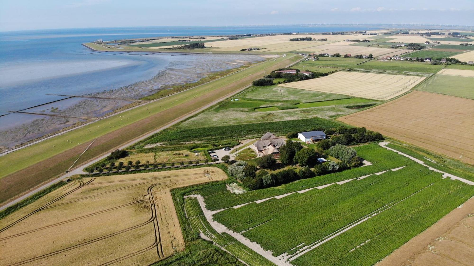 Appartamento Graefinhof Nordstrand Esterno foto